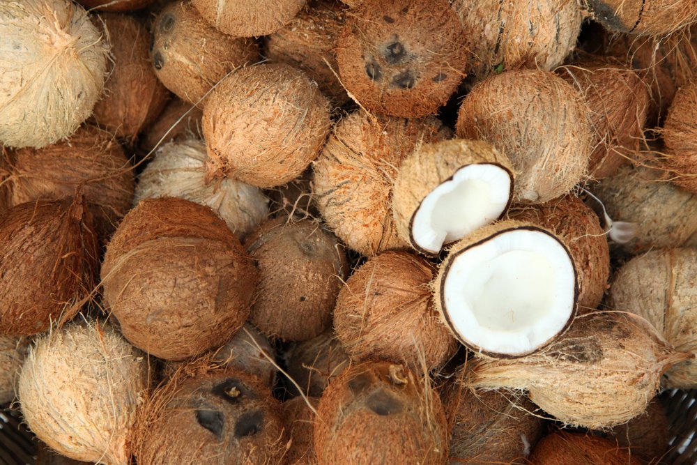 Coconut-Shell
