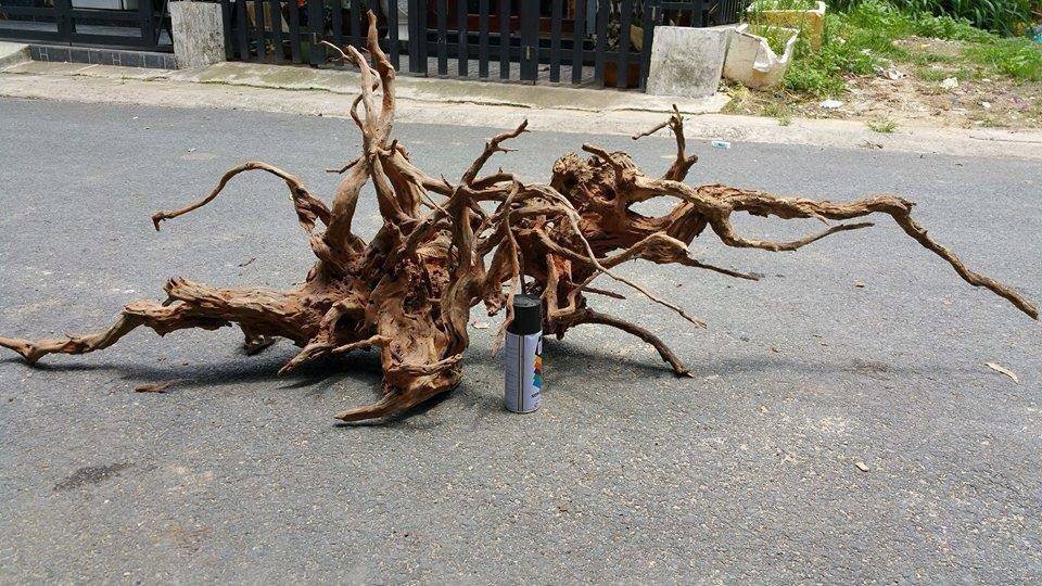 Driftwood