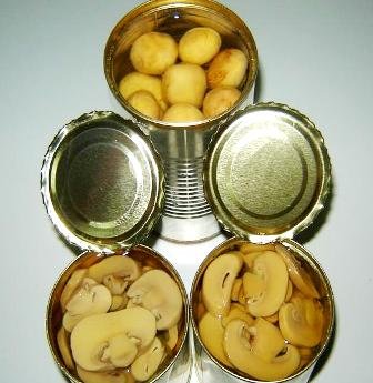 canned-champignon